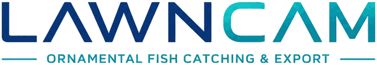 LAWNCAM – Ornamental Fish Catching & Export