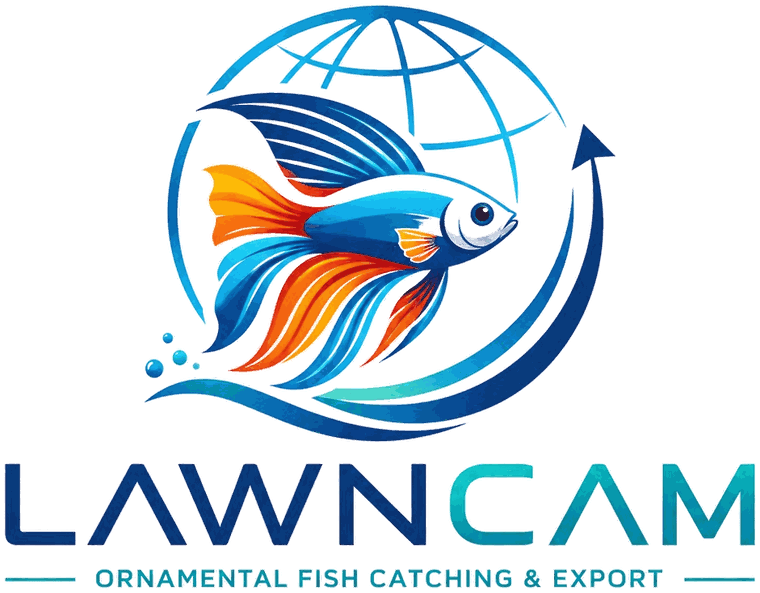 LAWNCAM – Ornamental Fish Catching & Export